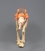 View Full Image