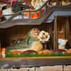 View Full Image