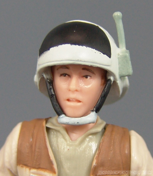 saga_ant_c2.jpg