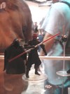View Full Image