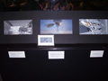 View Full Image