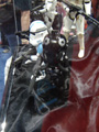View Full Image