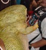 View Full Image