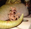 View Full Image