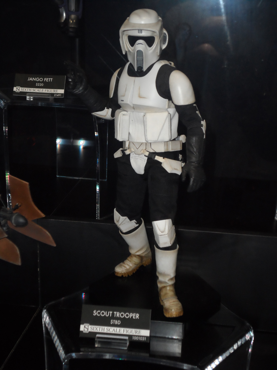 SAM_1387.JPG