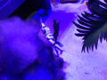 View Full Image