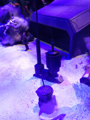 View Full Image