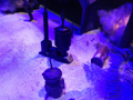 View Full Image