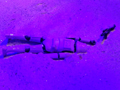 View Full Image