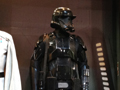 View Full Image