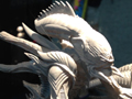 View Full Image