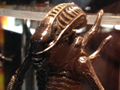 View Full Image