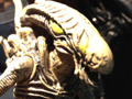 View Full Image