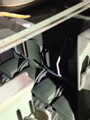 View Full Image