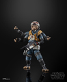 View Full Image