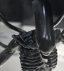 View Full Image