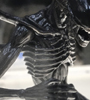 View Full Image
