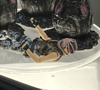 View Full Image