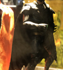 View Full Image