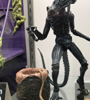 View Full Image
