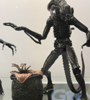 View Full Image