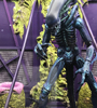 View Full Image