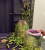 View Full Image