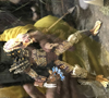 View Full Image