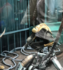 View Full Image