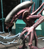 View Full Image