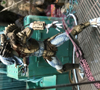 View Full Image