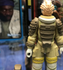 View Full Image