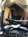 View Full Image