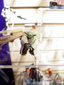 View Full Image