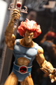 View Full Image